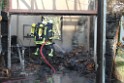 Feuer 2 Koeln Pesch Longericherstr JK P04